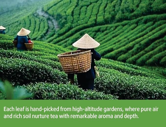 30 Nature Oolong Tea Bags – 100% Pure Whole Leaf Mix Nature Honey- Cortisol &amp Calming Tea for Anxiety Stress Digestion and Metabolism Rich in Antioxidants Vegan and Non-GMO