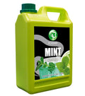 Possmei Mint Flavored Syrup 5.5 Pound Plastic Jar 1 Pack