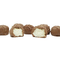 Philadelphia Candies Homemade Coconut Creams Milk Chocolate 1 Pound Gift Box