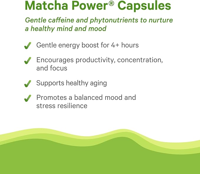 PURE SYNERGY Matcha Power | Organic Matcha Green Tea Capsules | Ceremonial Grade Supplement with EGCG | for Enhanced Energy &amp Alertness (90 Capsules)