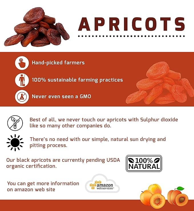 Arashan Natural Black Dried Apricots from Kyrgyzstan 1lb - Unsulphured Sun-Dried No-Added Sugar Sweet and Tangy Ideal for Snacking Baking and Nutritious Trail Mixes Pack of 2