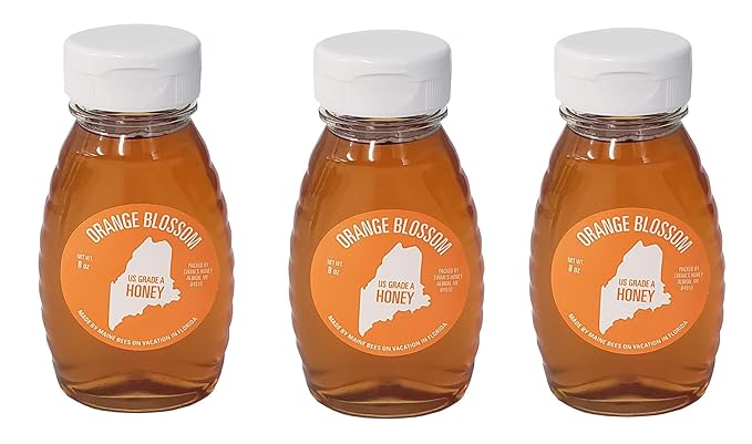 Wild Maine Orange Blossom Honey - 8 oz (Organic All natural and Gluten Free) (3 Pack)