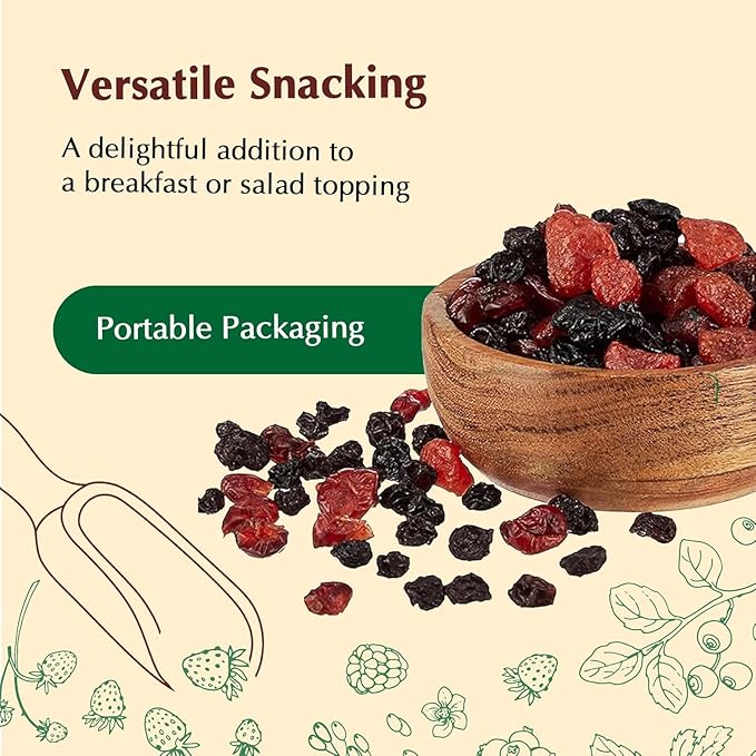 Dry Fruits and Berries Mix | 200 g| Blueberry Strawberry Cranberry And Black Currant | Ambient Temperature | (Previously Kitchen Cheer) Fresh