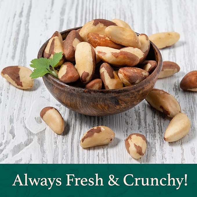 Premium Wild Harvested Raw Brazil Nuts 1 lb (16oz) – High Selenium Batch Tested Peanut &amp Gluten Free Non-GMO Kosher Resealable Bag