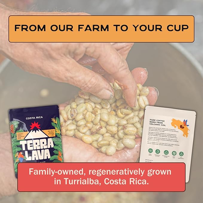 Terra Lava Coffee – Medium Roast Whole Bean Coffee Single-Origin Costa Rican Arabica Volcanic Soil Grown Honey-Processed Tested for Mold &amp Mycotoxins (12 oz)