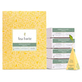 Tea Forte Moroccan Mint Premium Caffeinated Green Tea Blend Event Box Bulk Pack 40 Count 10 per tray Individually Wrapped Handcrafted Pyramid Infusers