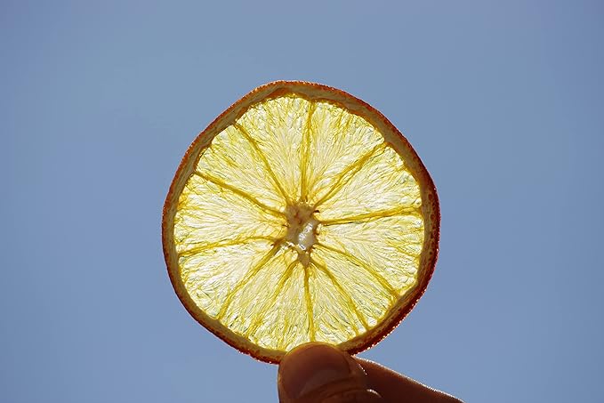 Dehydrated Orange Slices Citrus Immune Booster to infuse water cocktails garnishSelf Care Wedding/Fall/Holiday Decor - 65 slices