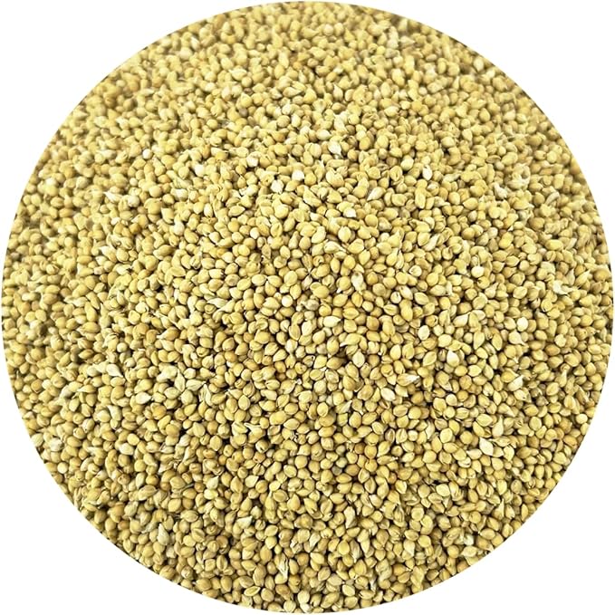 PACIFIC Organic Petfood Organic Feed Millet - Millet Bird Seed | Rich with Fiber &amp Minerals | USDA and CCOF Certified | Packed in USA (5 Pound (Pack of 1))