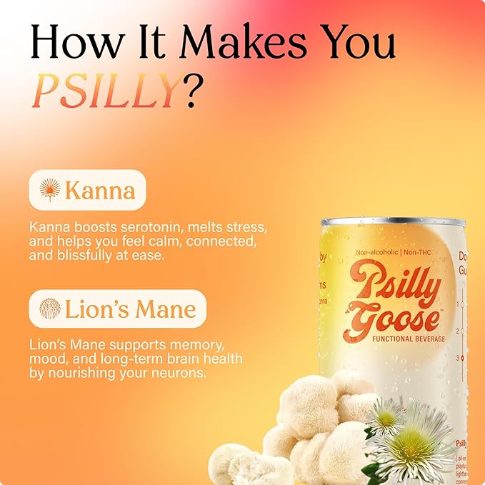 Non-Alcoholic Social Drink &amp Functional Beverage | Silly - Passionfruit Mango 12 FL OZ | Powered by Kanna &amp Lion's Mane | 4-Pack