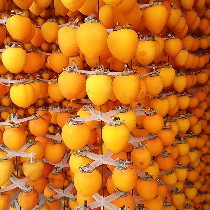 Dried Persimmons Old-fashioned Dr𝐢ed Persimmons 𝐏ers𝐢mmon Organic Whole Dried Persimmon No Sugar Added Dehydrated Unsweetened 𝐃ry Persimon for Snacking &amp Baking (500g-b)