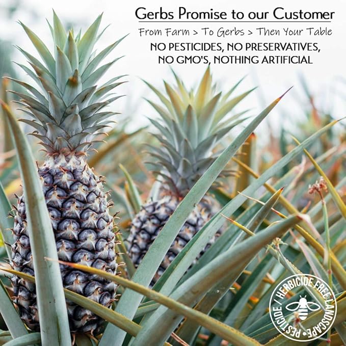Gerbs Dried Pineapple Unsweetened 2 lbs. | Dehydrated Unsulfured No Added Sugar Resealable Bag | Naturally Tart &amp Energizing | Top 14 Allergen-Free