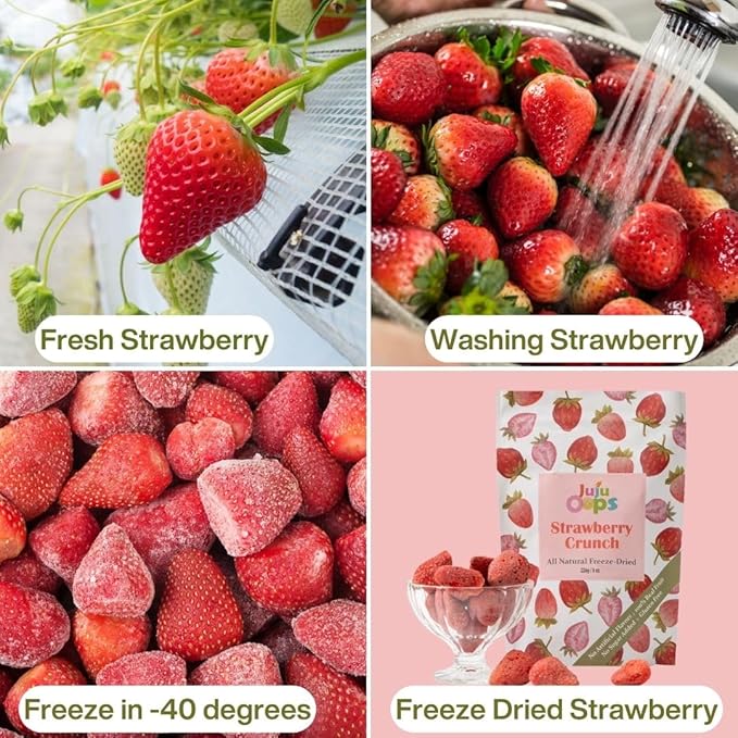 Juju-Oops Whole Freeze-Dried Strawberry | 100% All Natural Crunchy &amp Healthy | Family Party Size – Best Snack for Kids &amp Adults | Non-GMO No Sugar &amp Additives Added Vegan Gluten free |