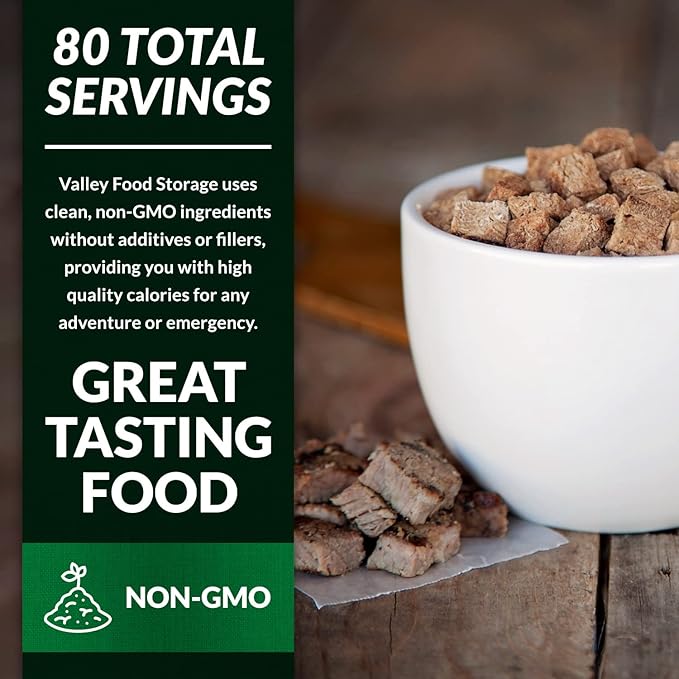Freeze Dried Beef Dices 10-Bag Bucket 85 Oz | Premium Emergency Food Supply 25 Year Shelf Life | Prepper Supplies Survival Food Off Grid Living Supplies | Valley Food Storage Packaged in USA