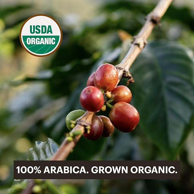 G GRANA Coffee Pods Compatible with Nespresso OriginalLine 40 Count Medium and Dark Roast USDA Organic 100% Arabica Single Source Specialty Coffee Compostable Single Serve Capsules