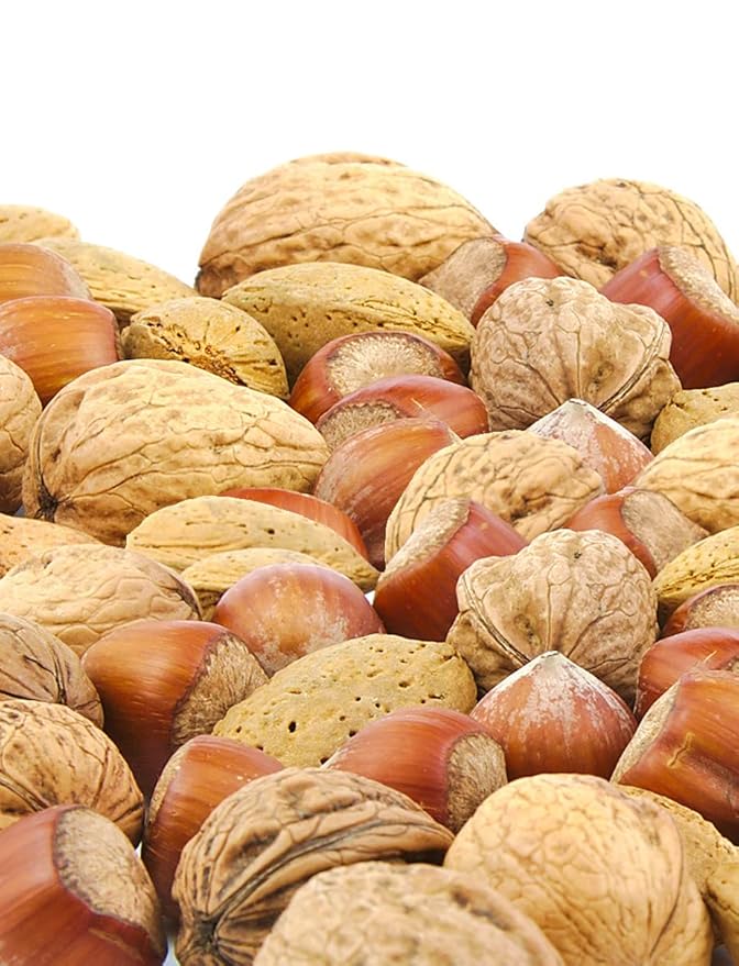 Anna and Sarah Premium Mixed Nuts in Shell California Jumbo Chandler Walnuts Extra Large Pecans California Almonds Large Oregon Hazelnuts (NO BRAZIL NUT) 6 Lbs