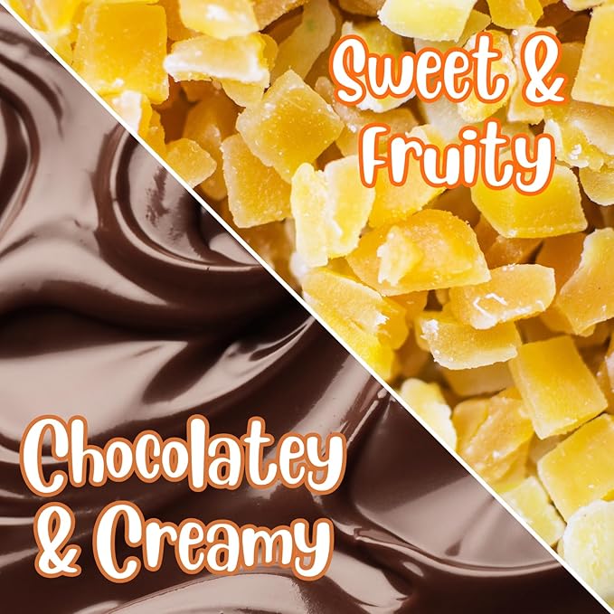 Dark Chocolate Covered Dried Mango by It's Delish 3.75 LBS Jumbo Container | Gourmet Chocolate Covered Mango Bits Fruit Snacks Bulk Chocolate Candy Treats | Vegan Non-Dairy Kosher