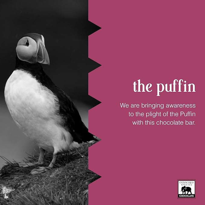 Endangered Species Dark Chocolate Bar with Cherries (72% cocoa)