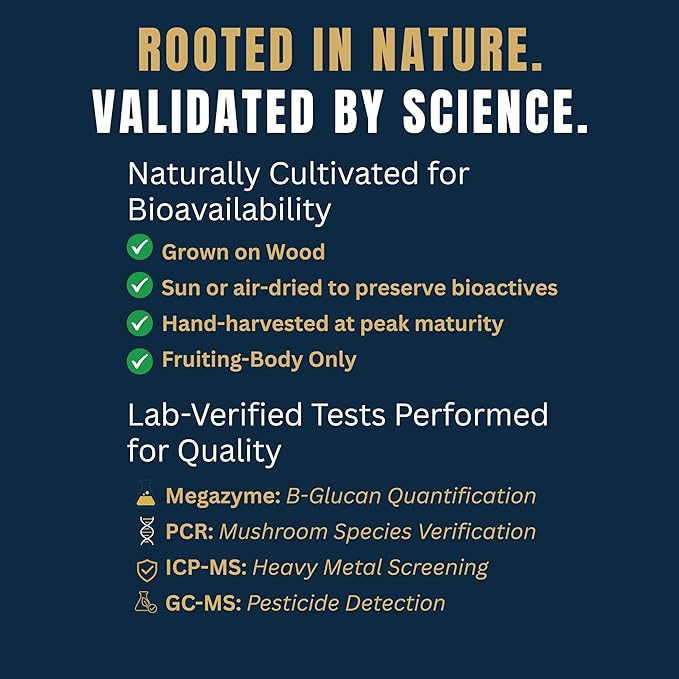 Monkey Brew Rise &amp Focus USDA Organic Mushroom Coffee | Boosts Focus Energy Immunity &amp Mood | 1750mg Adaptogens: Lion’s Mane Turkey Tail KSM-66 Ashwagandha | Low Caffeine Fruiting Body