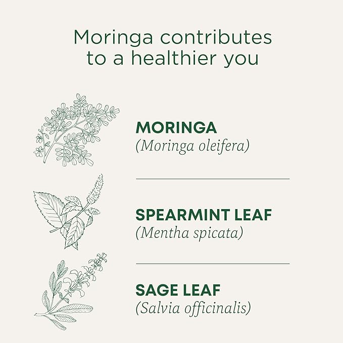 Traditional Medicinals Organic Moringa Tea with Spearmint &amp Sage USDA Certified Organic Non-GMO 16 Count (Pack of 6)