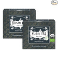 Kusmi Tea - Pack of 2 Boxes of Tea Bags - Earl Grey - Organic Earl Grey Black Tea - Flavored with Italian Bergamot Essential Oil - Strong Robust Caffeinated Tea - 2x20 Tea Bags