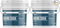 Earthborn Elements Baking Soda (1 Gallon) Sodium Bicarbonate Cooking Cleaning &amp Deodorizing (Pack of 2)