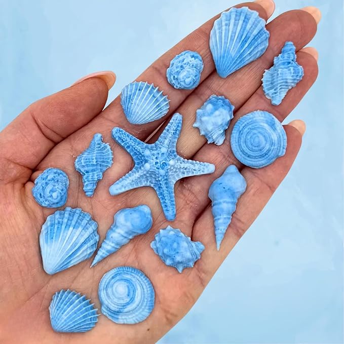 15 Dye Free Seashell Edible Cake Decorations Vegan Gluten-Free Edible Cake Toppers for Cupcakes Cookies &amp Desserts by Simply Sucré (15 Pieces (Gift Box) Blue)