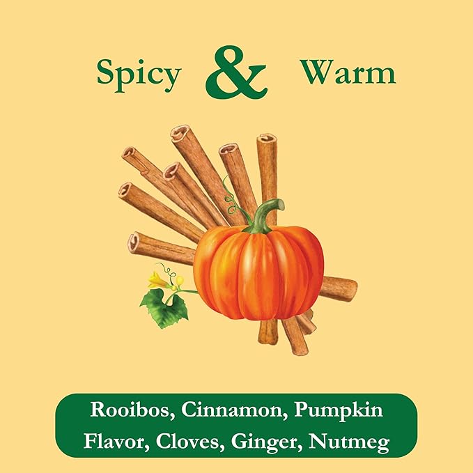 Tadin Pumpkin Spice Herbal Tea Caffeine Free Decaf 24 Tea Bags Per Box Pack of 6
