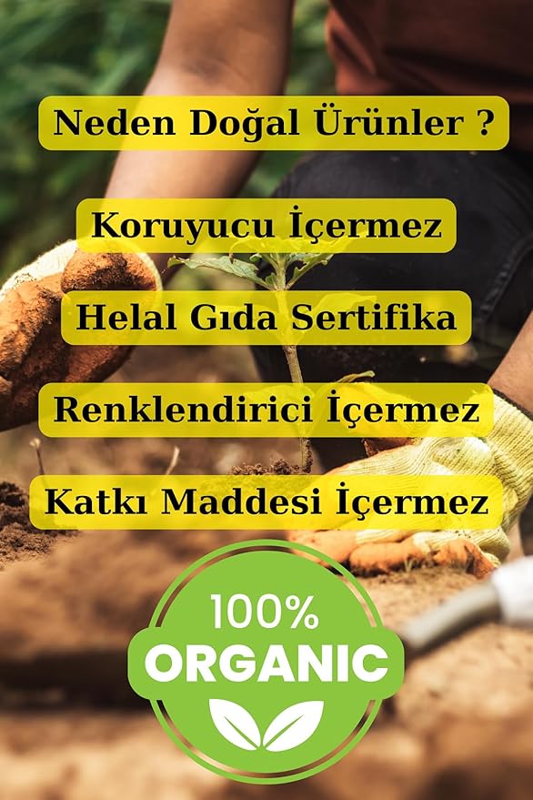 Premium Dried Mulberries 1 kg (2.2 lbs) - Natural Turkish Mulberry - Vacuum Packed - First Quality - No Powder or Broken Pieces