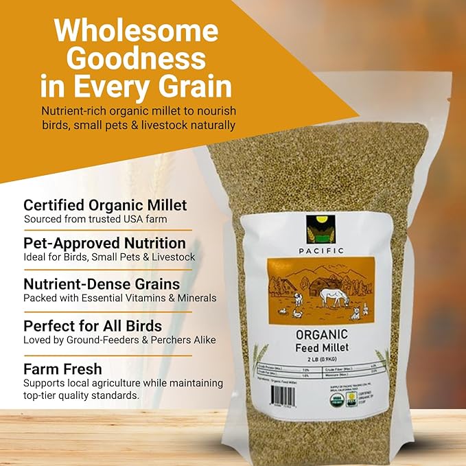 PACIFIC Organic Petfood Organic Feed Millet - Millet Bird Seed | Rich with Fiber &amp Minerals | USDA and CCOF Certified | Packed in USA (5 Pound (Pack of 1))