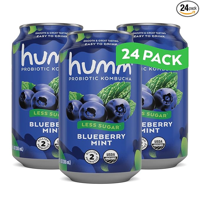 Humm Kombucha Blueberry Mint Organic Vegan &amp GMO Free (24 Pack)