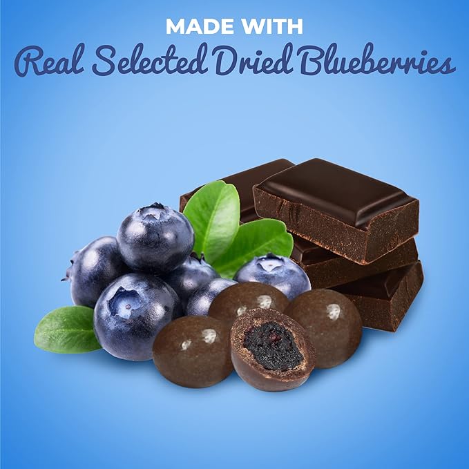 Gourmet Dark Chocolate Blueberries by It’s Delish 3 LBS Bulk | Dark Chocolate Covered Fruit with Real Dried Blueberries | Kosher and Vegan Snack