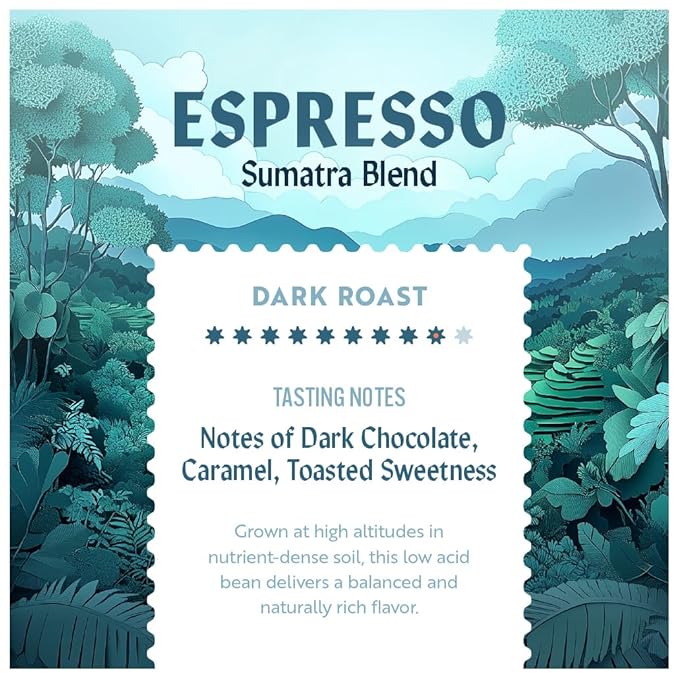 Clean Coffee Co. - Low Acid Espresso Roast Tested for Molds and Toxins Sumatra Blend Notes of Dark Chocolate Caramel Toasted Sweetness (Whole Bean 12 oz Bag)
