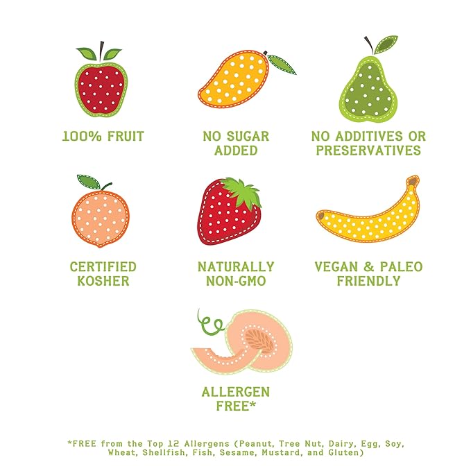 Nature’s Turn Freeze-Dried Fruit Snacks Strawberry and Apple Cinnamon Pack of 24 (0.53 oz Each)