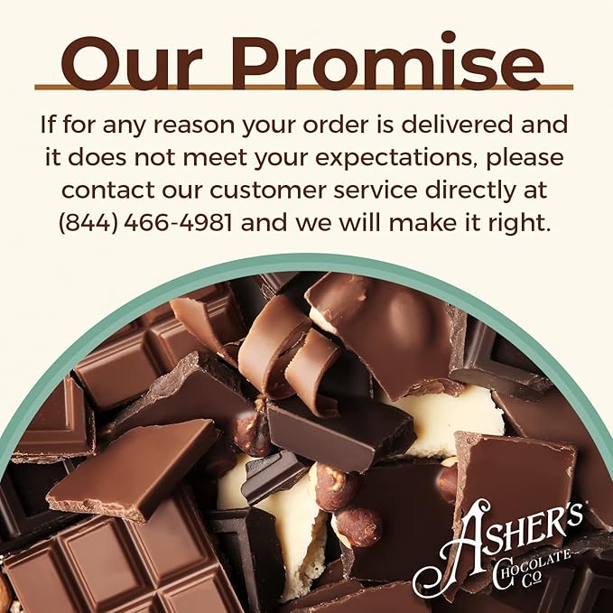 Asher's Chocolates Chocolate Covered Pretzels Gourmet Sweet and Salty Candy Small Batches of Kosher Chocolate Family Owned Since 1892 (18 count Milk Chocolate)