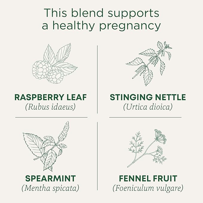 Traditional Medicinals Tea Organic Pregnancy Tea Supports a Healthy Pregnancy Raspberry Leaf Kosher Non-GMO Caffeine-Free Compostable - 96 Tea Bags (6 Pack)