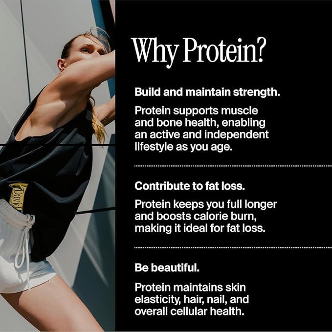 David Protein Bar David Favorites 60 Protein Bars | 28g of Protein | 150 Calories | 0g of Sugar - High Protein Low Carb Gluten Free Protein Bar Pack of 60