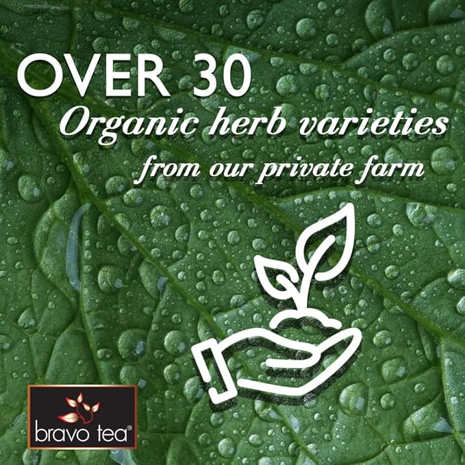 Bravo Tea Blood Pressure Herbal Tea Caffeine Free 20 Tea Bags 6 Count