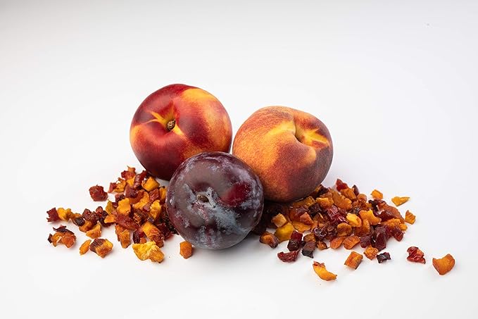 Traina Home Grown Fruitons California Sun Dried Summer Blend Fruit Mix - Peaches Nectarines and Plums No Sugar Added Non GMO Gluten Free Kosher Certified 6 oz pouch (pack of 2)
