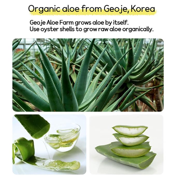 [AloeFarm] Aloe Pomegranate Honey Tea Refreshing Herbal Caffeine Free Healthy Aloe Vera Tea (17.64 fl oz/500g)