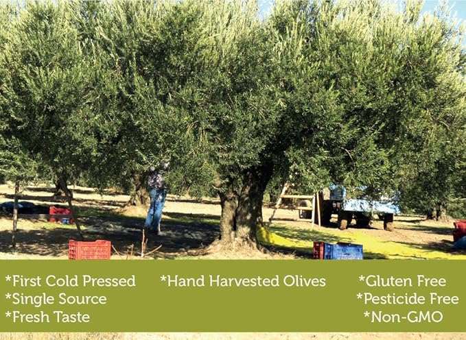 Extra Virgin Olive Oil Cold Pressed - London Award-Winning - 33.81 Fluid OunceAntique Ephesus Mediterranean Region of Ayvalik Turkey (Extra Virgin)