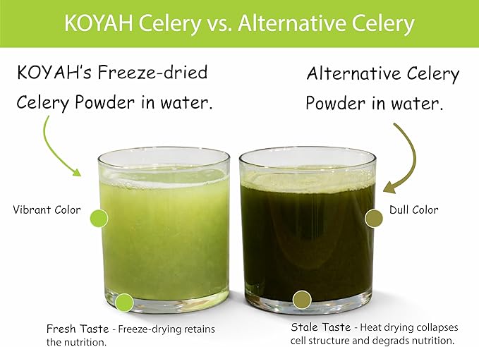 KOYAH - Organic USA Celery Powder (1 Scoop = 1/4 Cup Fresh): 36 Servings Freeze-dried Whole-Stalk Powder