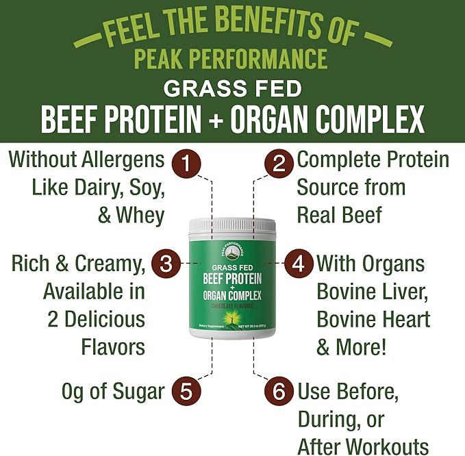 Grass Fed Beef Protein Powder + Organ Complex - Lactose Free Great Tasting Beef Protein Isolate - Animal Based Non Dairy No Whey Paleo Carnivore Supplement for Muscle Building - Chocolate Flavor