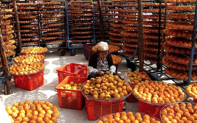 Sun Dried Persimmons Organic Japanese Hand Massaged Hoshigaki 1 lb