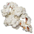 White Chocolate Peanut Clusters 12 Ounce 4 pack - Roasted Peanuts Covered in Sweet White Frosting - Gourmet Candy Snack Gift - CandyKorner