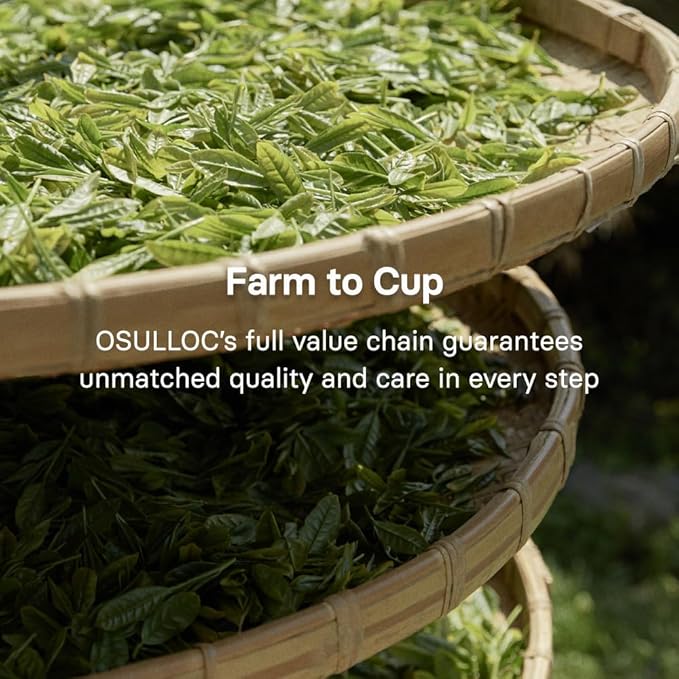 OSULLOC Volcanic Isle Matcha Milk Tea – Premium Jeju Matcha Latte Powder Just Add Water Creamy &amp Smooth Large Pouch (10.6oz 300g)