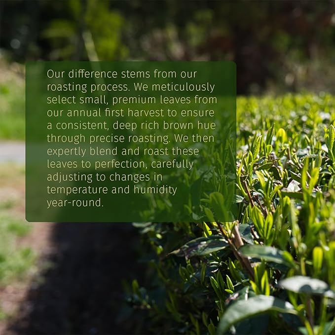 Midori Spring Organic Hojicha - Smooth Roasted Green Tea Powder Antioxidants Low Caffeinie USDA Vegan NON GMO Japanese Masters Roast