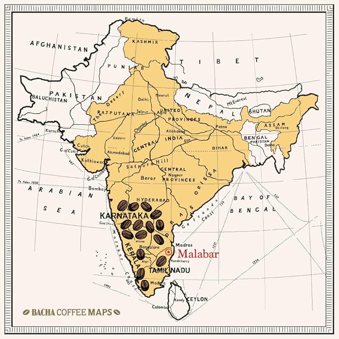 Bacha Coffee | Monsoon Secret India Single Origin Medium Dark Roast 100% Arabica Specialty Coffee 12 Coffee Drip Bags Gift Box