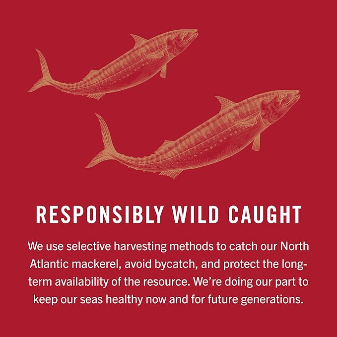 King Oscar Mackerel in Olive Oil with Lemon 4.05 Ounce Cans (Pack of 12 Packaging May Vary) Skinless &amp Boneless Wild Caught Canned Mackerel