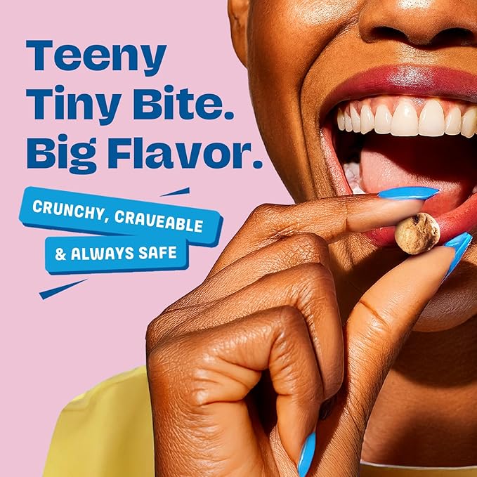 Gluten Free Partake Teeny Tiny Crunchy Chocolate Chip Cookies - Vegan - Free From the Top 9 Allergens Including Dairy Wheat Soy Eggs &amp Peanuts - Non GMO - Safe School &amp Office Snack (2 Pac