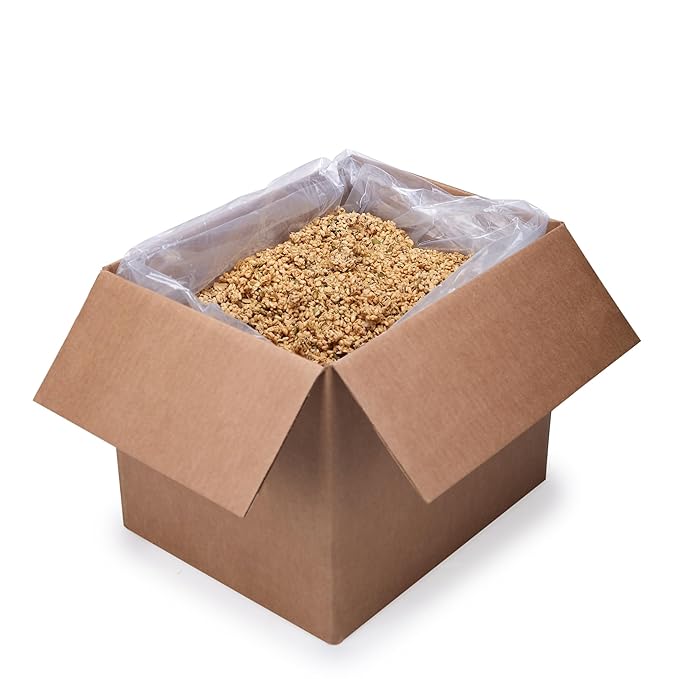 Nature's Path Organic Pumpkin Seed + Flax Granola 25 lb (Pack of 1) Non-GMO